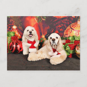 Cartes Pour Fêtes Annuelles Noël - Cocker - Toby, Havanais - Little T