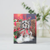 Cartes Pour Fêtes Annuelles Noël - crêté chinois - Sheeba (Debout devant)