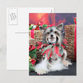 Cartes Pour Fêtes Annuelles Noël - crêté chinois - Sheeba (Devant / Derrière)