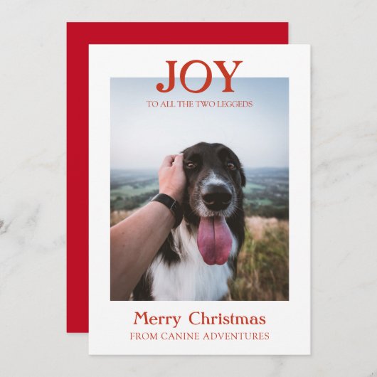 Cartes Pour Fêtes Annuelles Noël Custom Chien Photo Chien Walker Business (Devant / Derrière)