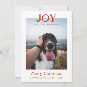 Cartes Pour Fêtes Annuelles Noël Custom Chien Photo Chien Walker Business