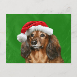 Cartes Pour Fêtes Annuelles Noël Dachshund