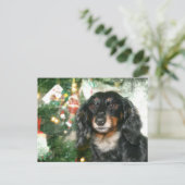 Cartes Pour Fêtes Annuelles Noël Dachshund (Debout devant)