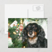 Cartes Pour Fêtes Annuelles Noël Dachshund (Devant / Derrière)
