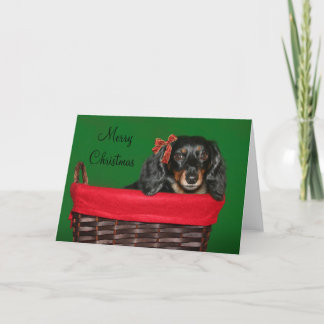 Cartes Pour Fêtes Annuelles Noël Dachshund