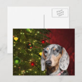 Cartes Pour Fêtes Annuelles Noël Dachshund applaudi (Devant / Derrière)