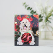 Cartes Pour Fêtes Annuelles Noël - Daisy - Goldendoodle (Debout devant)