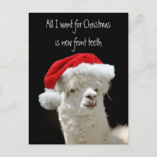 Cartes Pour Fêtes Annuelles Noël d'Alpaca