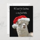 Cartes Pour Fêtes Annuelles Noël d'Alpaca (Devant / Derrière)