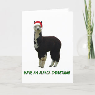 Cartes Pour Fêtes Annuelles Noël d'Alpaca