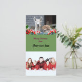 Cartes Pour Fêtes Annuelles Noël d'alpaga (Debout devant)