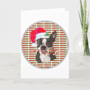 Cartes Pour Fêtes Annuelles Noël de Boston Terrier