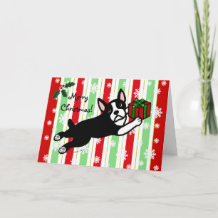 Cartes Pour Fêtes Annuelles Noël de Boston Terrier 2 flocons de neige de bande