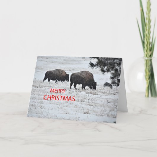 Cartes Pour Fêtes Annuelles Noël de Buffalo (Devant)