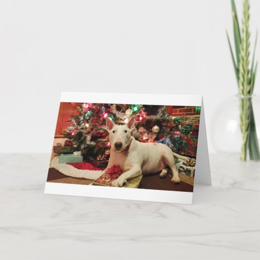 Cartes Pour Fêtes Annuelles noël de bull terrier (Devant)