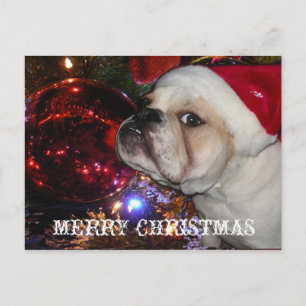 Cartes Pour Fêtes Annuelles Noël de Bulldog anglais