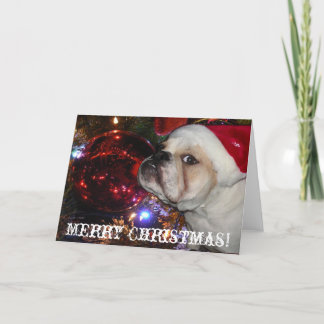 Cartes Pour Fêtes Annuelles Noël de Bulldog anglais
