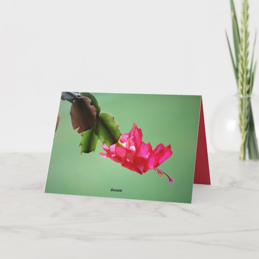 Cartes Pour Fêtes Annuelles Noël de cactus de Noël Joyeux (Dos)