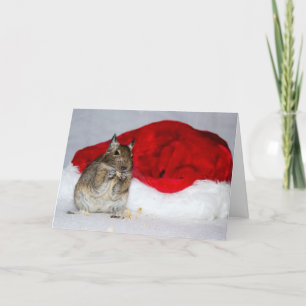 Cartes Pour Fêtes Annuelles Noël de casquette de Degu et de Père Noël