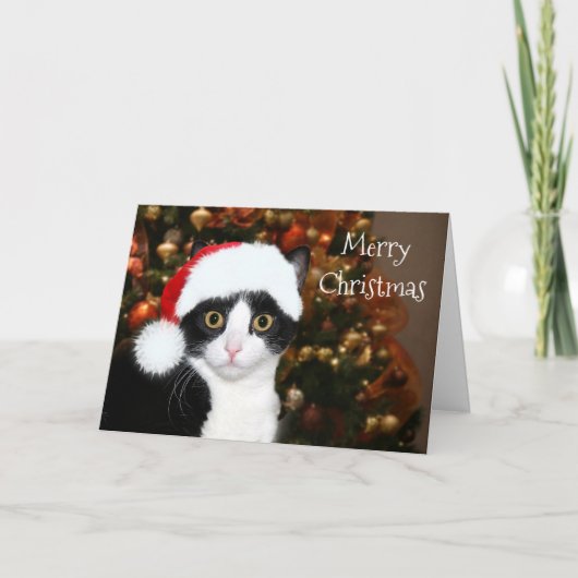 Cartes Pour Fêtes Annuelles Noël de chat de smoking (Devant)
