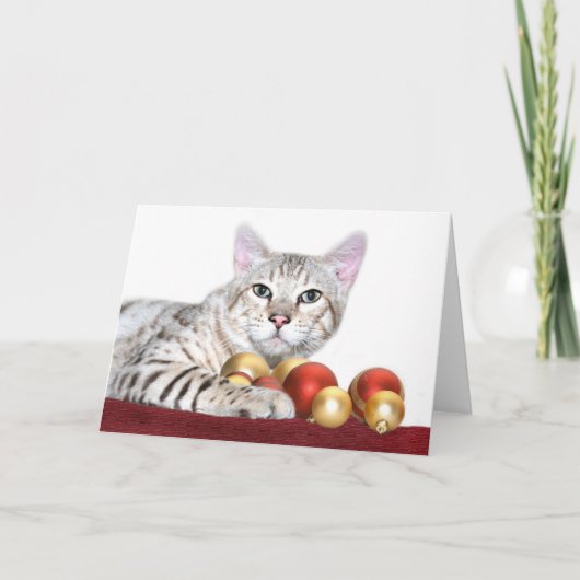 Cartes Pour Fêtes Annuelles Noël de chat du Bengale (Devant)