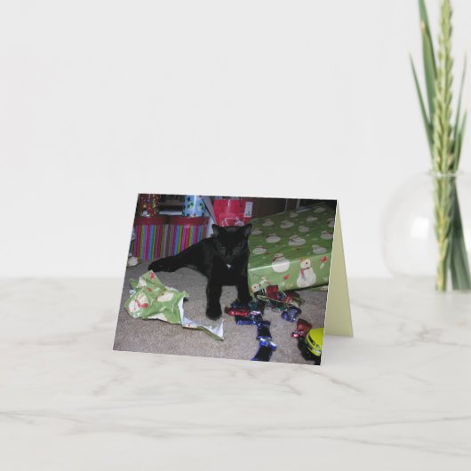 Cartes Pour Fêtes Annuelles Noël de chaton (Devant)