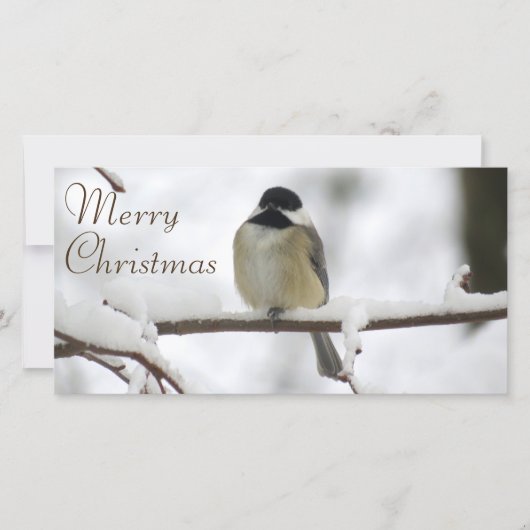 Cartes Pour Fêtes Annuelles Noël de Chickadee (Devant)