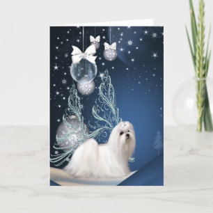 Cartes Pour Fêtes Annuelles Noël de Chien Chien Chien Chien Maltais