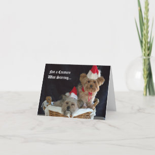 Cartes Pour Fêtes Annuelles Noël de chienchien