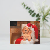 Cartes Pour Fêtes Annuelles Noël de chienchien (Debout devant)