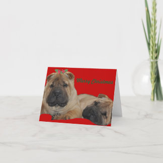 Cartes Pour Fêtes Annuelles Noël de chiot de houx de Shar Pei