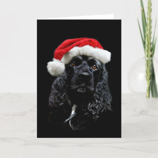 Cartes Pour Fêtes Annuelles Noël de cocker