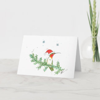 Cartes Pour Fêtes Annuelles Noël de colibri