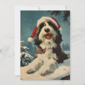 Cartes Pour Fêtes Annuelles Noël de Collie barrée (Devant)