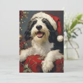 Cartes Pour Fêtes Annuelles Noël de Collie barrée (Debout devant)