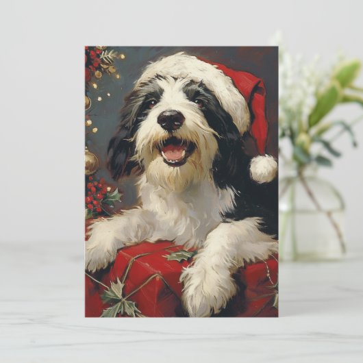 Cartes Pour Fêtes Annuelles Noël de Collie barrée (Debout devant)