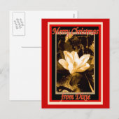 Cartes Pour Fêtes Annuelles Noël de Dixie (Devant / Derrière)