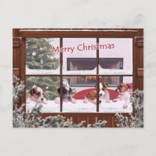 Cartes Pour Fêtes Annuelles Noël de Jack Russell souhaite la salutation