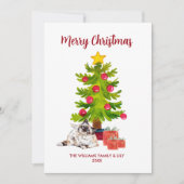 Cartes Pour Fêtes Annuelles Noël de la famille Berman Cat (Devant)