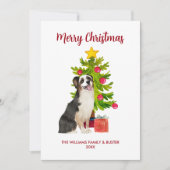 Cartes Pour Fêtes Annuelles Noël de la famille des chiens bergers australiens (Devant)