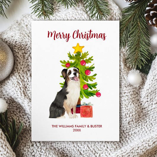 Cartes Pour Fêtes Annuelles Noël de la famille des chiens bergers australiens