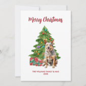 Cartes Pour Fêtes Annuelles Noël de la famille des Chiens de Blue Heeler (Devant)