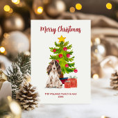 Cartes Pour Fêtes Annuelles Noël de la famille des Chiens d'Espagne