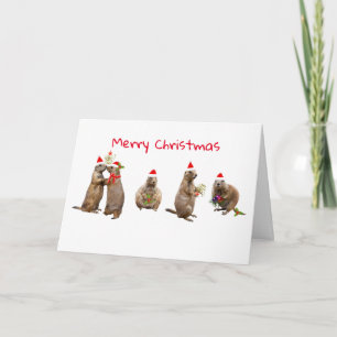 Cartes Pour Fêtes Annuelles Noël de la prairie