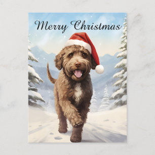 Cartes Pour Fêtes Annuelles Noël de Lagotto Romagnolo