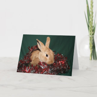 Cartes Pour Fêtes Annuelles Noël de lapin