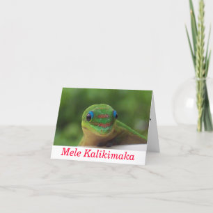 Cartes Pour Fêtes Annuelles Noël de Mele Kalikimaka