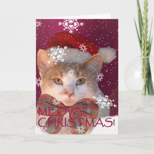 Cartes Pour Fêtes Annuelles Noël de Meowy ! (Devant)
