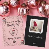 Cartes Pour Fêtes Annuelles Noël de Meowy