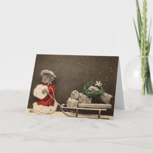 Cartes Pour Fêtes Annuelles Noël de Meowy (Devant)